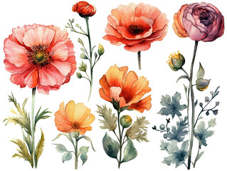 colorful isolated flowers in watercolor style on transparent background. Generative AI