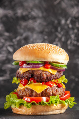 Delicious meat sandwich with tomatoes green on dark background
