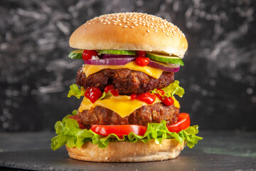 Delicious meat sandwich with tomatoes green on dark background close up shot