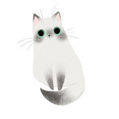 black and white cat on white background