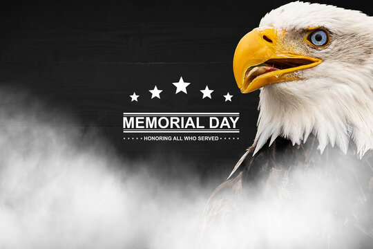 Composite image of a Bald Eagle with a flag and fireworks in the background. Nice patriotic image for Independence Day, Memorial Day, Veterans Day and Presidents Day.