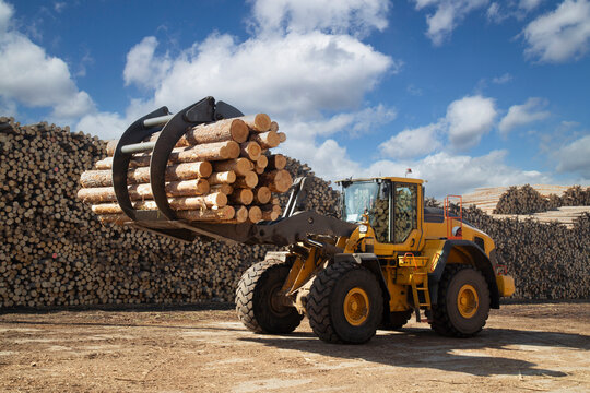 Loading logs with a special loader.Timber products warehouse on a specialized site.
