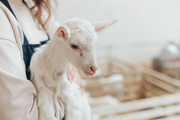 Woman farmer with Animal Goat on Hand at Eco Farm For Dairy Products