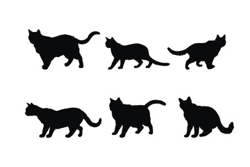 Cute cat walking silhouette bundle design. Cat standing in different positions silhouette collection. Cute home cat vector design on a white background. Feline standing silhouette set vector.