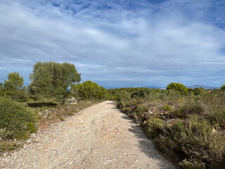 Fototapeta na wymiar Gravel road through Parc Natural del Montgrí