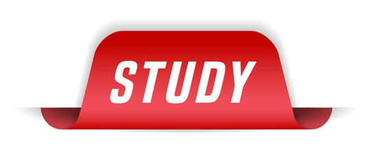 Colorful vector flat design banner study. This sign is well adapted for web design.