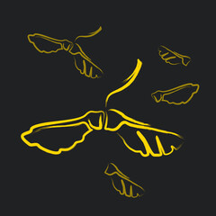 Obraz premium Sketch of maple lionfish on a dark background. Linear drawing of seeds