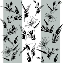Foto op geborsteld aluminium Aquarel natuur set Pattern of forest flower stellaria. Background based on inflorescences, leaves and buds of delicate spring flowers