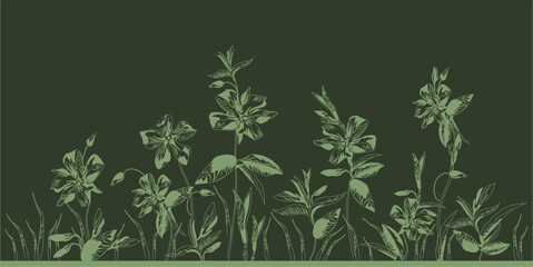 Pattern of forest flower stellaria. Background based on inflorescences, leaves and buds of delicate spring flowers