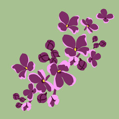 Natural pattern of lilac flowers on a white background. Eco design.