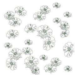 Portulaca pattern. Natural arrangement of garden flowers