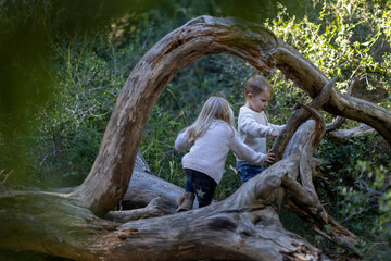 Two cute toddlers playing in the forest