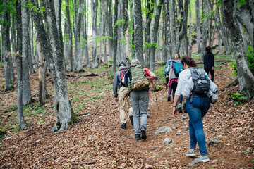 People walking in the forest tall green trees road journey hiking