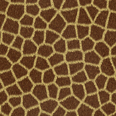 Abstract Background and Texture