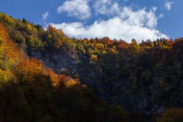 Dark gorge with lush colorful autumn trees against the background of the sky.