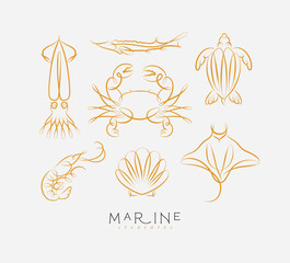 Filigree swirl sea and ocean creatures squid, fish, crab, turtle, shrimp, stingray, shell, scallop drawing on light background