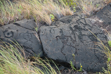 Pu‘uloa Petroglyphs, south of the Kilauea Volcano, Hawaii Volcanoes National Park, Big Island,...
