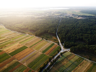 Countryside landscape. Aerial view of cultivated green fields, agricultural parcels geometric shape...