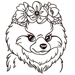 Cartoon pomeranian spitz dog in floral crown. Cute baby animal nursery print.