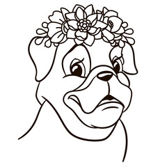 Cartoon pug dog in floral crown. Cute baby animal nursery print.