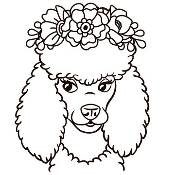 recommend clip art: Cartoon poodle dog in floral crown. Cute baby animal nursery print.