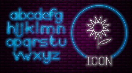 Glowing neon line Sunflower icon isolated on brick wall background. Neon light alphabet. Vector