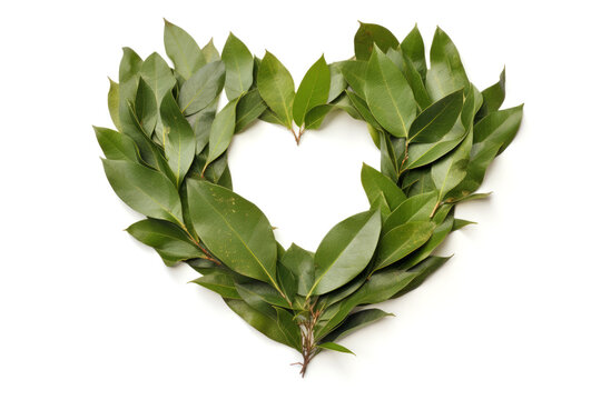 Bay leaf in the shape of a heart on a white background. Top view. Generative AI