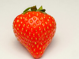 Erdbeere