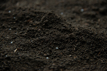 front view of dark soil grim reaper funeral death evil devil