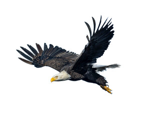Eagle Air