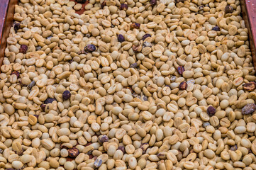 A view of peeled coffee beans in a field near to La Fortuna, Costa Rica during the dry season