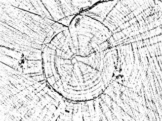 Discover the natural and unique vector grunge texture of cut wood with organic cracks and concentric circles. Perfect for vintage, rustic, and abstract designs, use it as a texture overlay template
