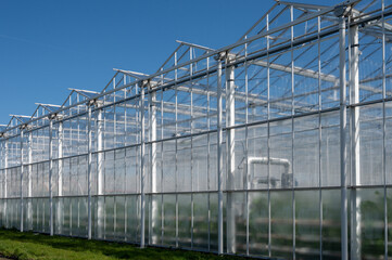 All seasons fresh vegetables, fruits and flowers, agriculture in Netherlands, big modern greeenhouses in Limburg, exterior view