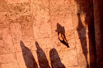 Cat Walk