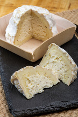 Cheese collection, soft cow French cheese with mold Gaperon artisanal lavored with cracked peppercorns and garlic produced in Auvergne