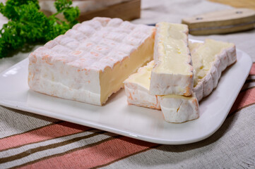 French cheeses collection, yellow Vieux Pane cheese with white mold