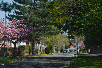 Streets of Surbiton in full bloom, Greater London.