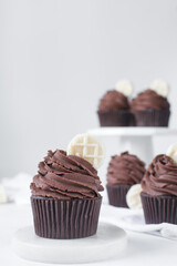 Chocolate cupcake with dark chocolate buttercream, double chocolate cupcakes with american buttercream, tall swirl frosting on a cupcake with a wafer