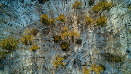 An aerial drone shot of a forest in the winter at sunset