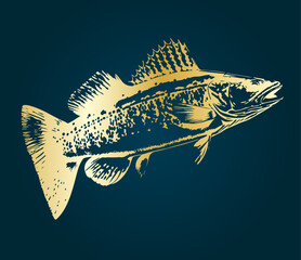 Fisch Hecht Gold Silhouette Symbol Vektor