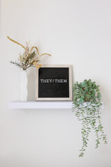 they/them pronouns lettering on a black and tan letter board sitting on a floating shelf with plants. modern home decor lgbt ally support 