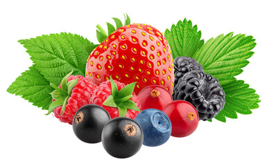 wild berries mix, strawberry, raspberry, currant, blueberry, cranberry, blackberry, isolated on...