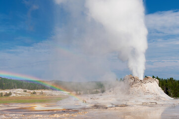 Castle Geyser erupting with rainbow, Yellowstone national park, Wyoming, USA.