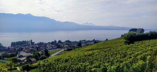 Paseo por el lago Léman, entre viñedos, pueblos costeros y vistas a los alpes y viñedos suizos.  © Rox