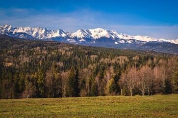 Fototapeta na wymiar Charming panorama of the Polish Tatra Mountains in the morning. View of the High and Western Tatras from the village of Lapszanka, Poland.
