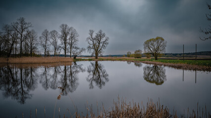 reflection of trees in water