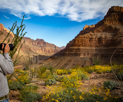 Tourist Photographer in the Grand Canyon
