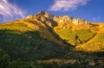 Fototapeta na wymiar Mountain landscape in autumn sunny day. Summit overgrown with dwarf pine trees, Bielanske Tatras in autumn season.