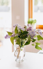 Bouquet of garden lilacs in a glass vase on a table and sunny light.