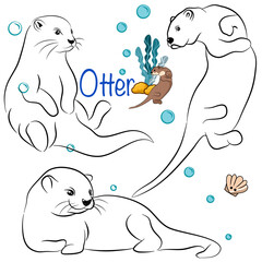 Cute otter doodle collection in different poses in free hand drawing vector illustration style.